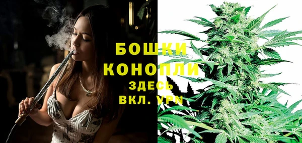 трава Алзамай