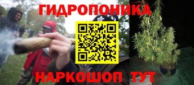 гашик Ачхой-Мартан