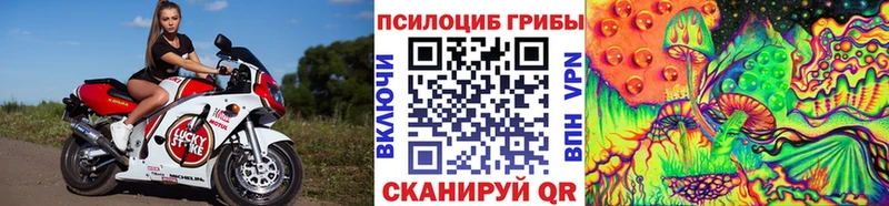 Галлюциногенные грибы мицелий Находка